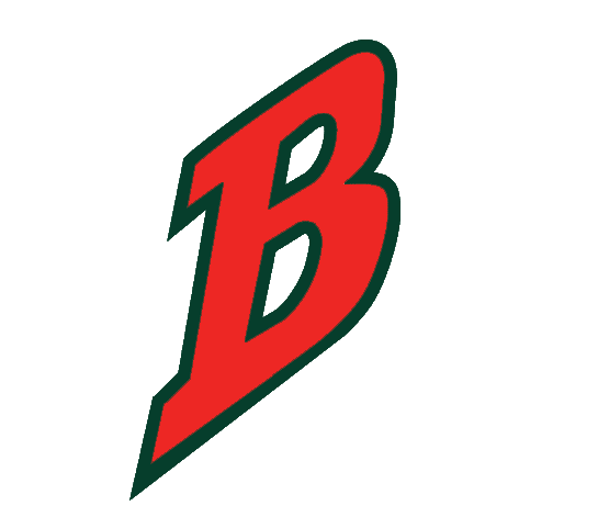 Buffalo Bisons 1998-2003 Cap Logo v2 iron on heat transfer